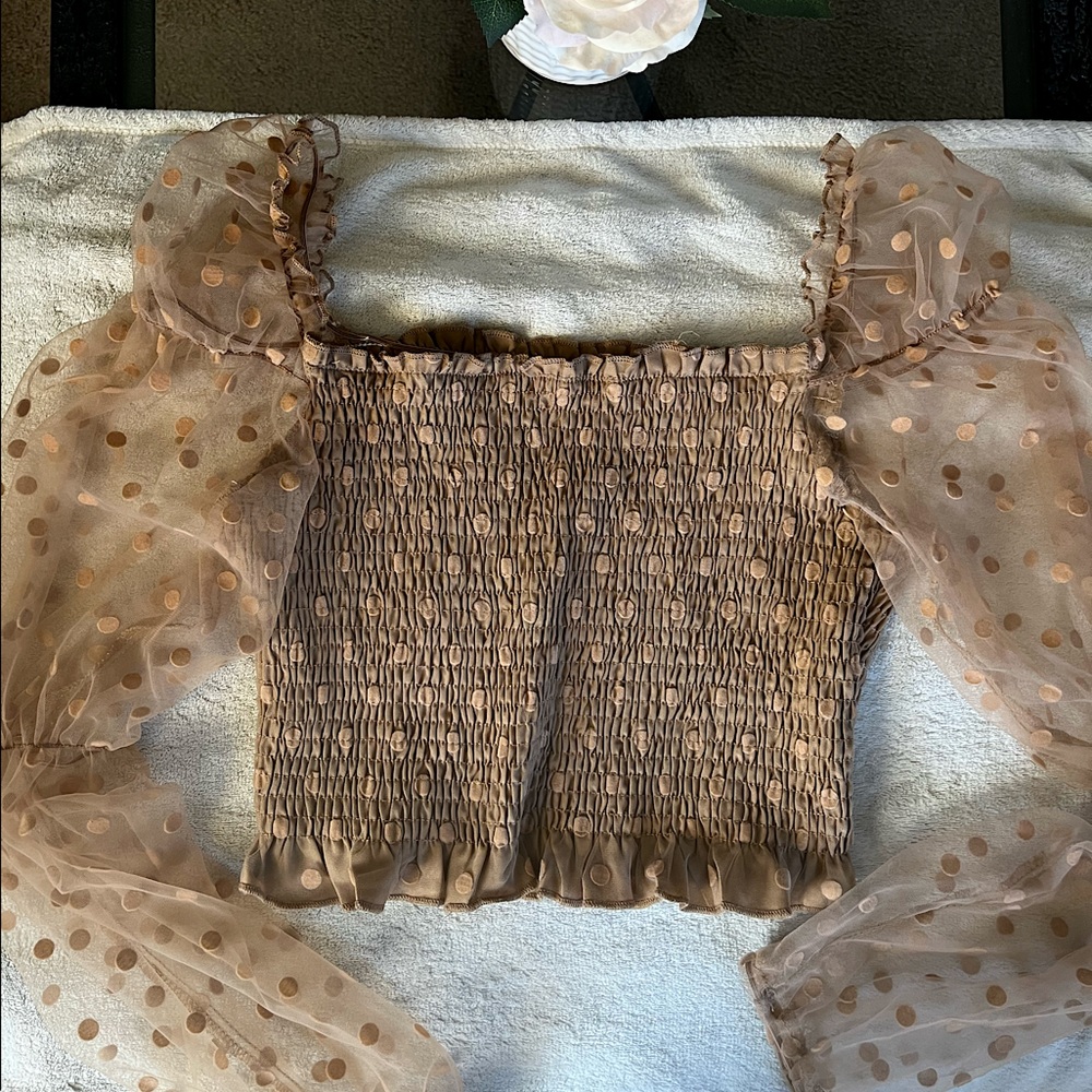 Mesh Frill Trim Shirred Top with Polka Dot Sleeves